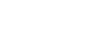 logotype TSH NOBLE ART en monochrome blanc.